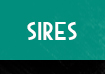 Sires