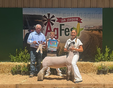 Olivia
Reserve Champion Registered Ewe
Ag Fest
