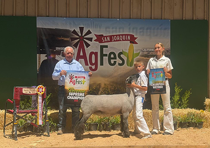 Lexy
Reserve Supreme Ewe
Ag Fest